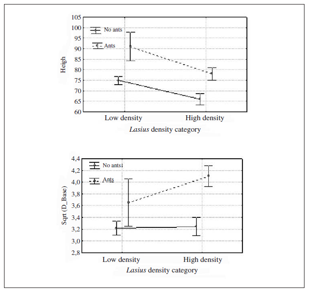 Mean height and mean basal diameter (square root transformed) (mean &plusmn; SD) of the plants with and without L. niger in the two ant density categories.