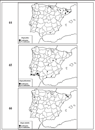 Mapa de distribuci&oacute;n de 64. Elegia fallax 65. Elegia fallaximima 66. Elegia similella.