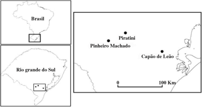 Localização dos municípios onde foram realizadas as coletas de borboletas entre a primavera de 2007 e o outono de 2009. Piratini (31º26’55”S, 53º05’51”O), Capão do Leão (31º45’26”S, 52º29’21”O) e Pinheiro Machado (31º34’46”S, 53º22’48”O) no Rio Grande do Sul, Brasil.