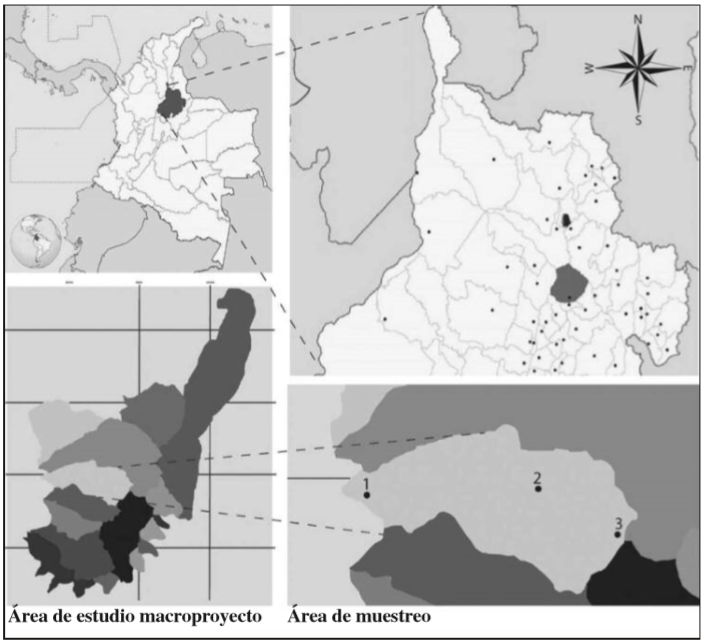 Área de estudio: Mesa de Los Santos, Santander, Colombia. (1. 280-500 msnm - 2. 680-900 msnm - 3. 1.100-1.200 msnm). Fuente: (GOOGLE EARTH, 2016 & FUNDACIÓN GUAYACANAL et al., datos inéditos).