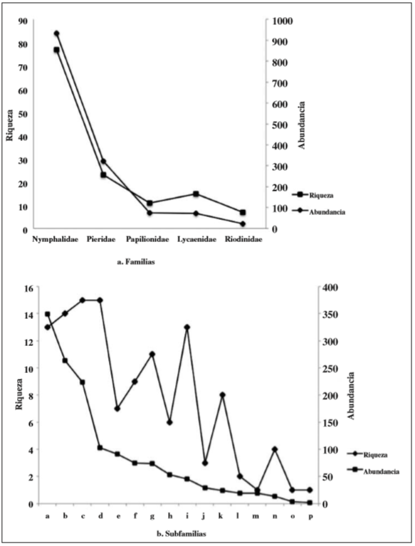 Distribución de la riqueza y abundancia de familias: (a) y subfamilias (b) de mariposas (Papilionoidea) en la Mesa de Loa Santos, Santander, Colombia. (a. Biblidinae, b. Coliadinae, c. Nymphalinae, d. Satyrinae, e. Heliconiinae, f. Danainae, g. Papilioninae, h. Pierinae, i. Theclinae, j. Polyommatinae, k. Riodininae, l. Cyrestinae, m. Libytheinae, n. Charaxinae, o. Limenitidinae, p. Apaturinae).
