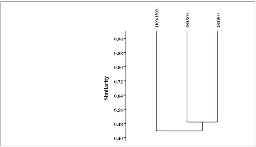 Similaridad entre niveles latitudinales con base en el índice Bray-Curtis.