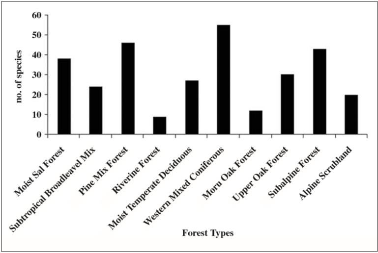 The number of species recorded in the different types of forest sampled across all the sampling areas. Western Mixed Coniferous forest was the most species-rich habitat followed by Pine Mix forest, Subalpine forest and Moist Sal forest.