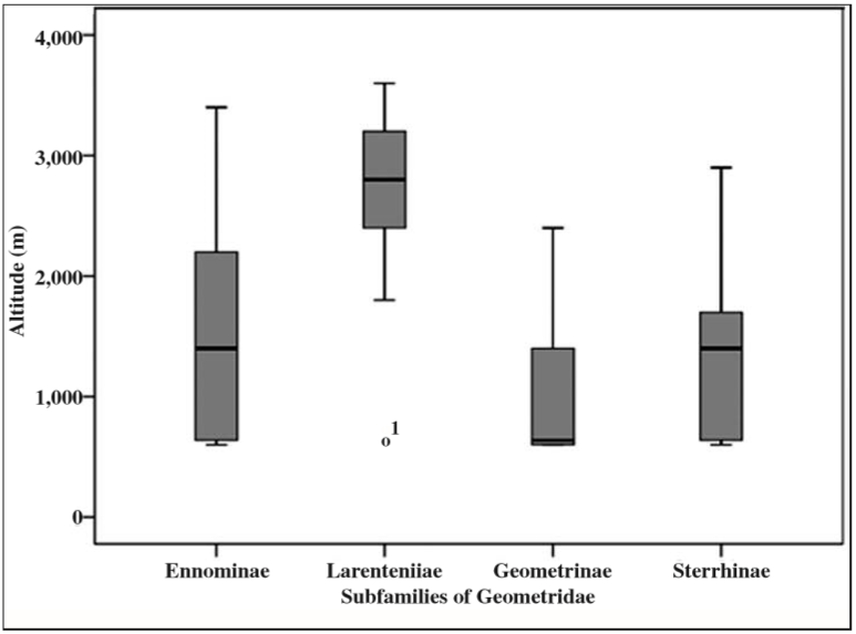 The altitudinal distribution of four major subfamilies of the family Geometridae collected across all sampling sites. While the subfamily Ennominae was widely distributed, species of subfamily Larentiinae had clear preference for higher altitudes.