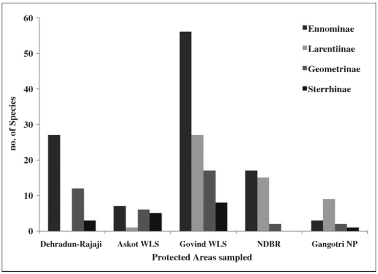 No. of species in each subfamily of Geometridae sampled across different Protected Areas in the Indian state Uttarakhand. The subfamily Ennominae was most numerous all through except in Gangotri NP. The subfamily Larentiinae had significant representation in high altitude protected areas and almost absent from lower altitude areas like Dehradun and Askot WLS.