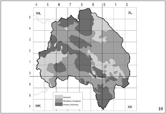Formaciones vegetales potenciales.