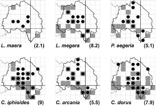 Mapas de distribución de las especies de Nymphalidae dentro de la Comarca de Molina- Alto Tajo y zonas limítrofes.