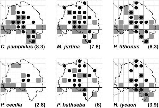 Mapas de distribución de las especies de Nymphalidae dentro de la Comarca de Molina- Alto Tajo y zonas limítrofes.
