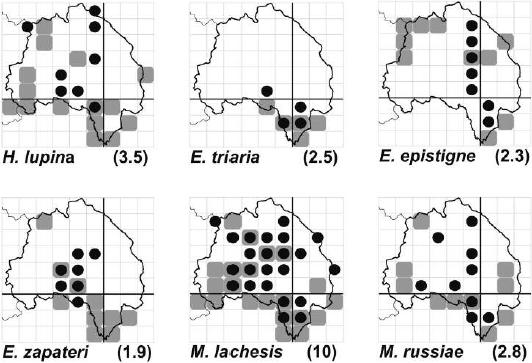 Mapas de distribución de las especies de Nymphalidae dentro de la Comarca de Molina- Alto Tajo y zonas limítrofes.