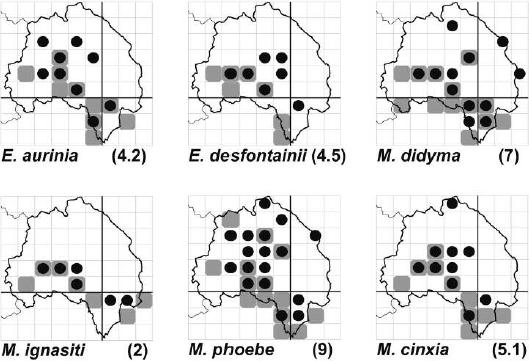 Mapas de distribución de las especies de Nymphalidae dentro de la Comarca de Molina- Alto Tajo y zonas limítrofes.