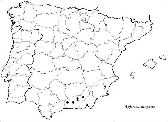 Distribution map of Aglossa mayrae Ylla, Sumpich, Gast&oacute;n, Huertas & Maci&agrave;, sp. n.