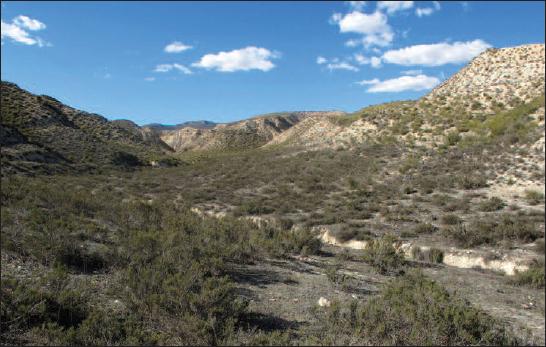 Typical habitat of Aglossa mayrae Ylla, Sumpich, Gast&oacute;n, Huertas & Maci&agrave;, sp. n., Fonelas (Granada).