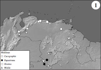 Distribución de los géneros de Midilinae