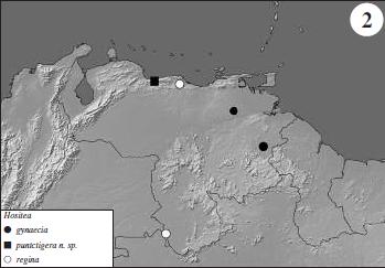 Distribución de las especies de Hositea