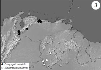 Distribución de Cacographis osteolalis y Eupastranaia tumidifrons