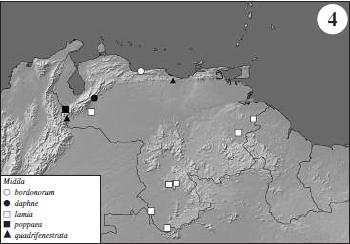 Distribución de las especies de Midila.