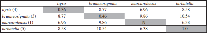 Interspecific mean K2P divergences (>600 bp) based on the analysis of COI gene. Maximum intraspecific variations in diagonal grey cells. The number of examined specimens in parenthesis.