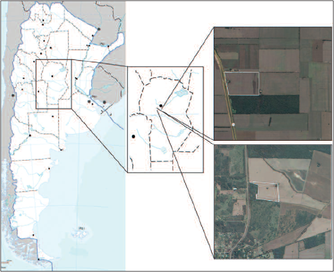 Maps showing the location were D. sacrifica larvae were observed. Soybean fields where larvae were found are highlighted in white.