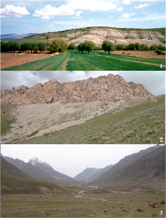 1. Habitat of Elachista athroa Kaila, sp. n.: chalk slope in Sultan Daglari Mts. (1200 m a.s.l.), Central Turkey. 2. Habitat of Elachista sagara Kaila, sp. n.: montane steppe in Altyn-Dara Valley, Trans-Alai Mts. (3010 m a.s.l.), Kyrgyzstan. 3. Habitat of Elachista sagara Kaila, sp. n.: montane steppe by Kashka-Suu village, Alai Mts. (3500 m a.s.l.), Kyrgyzstan. (Photos K. Nupponen).