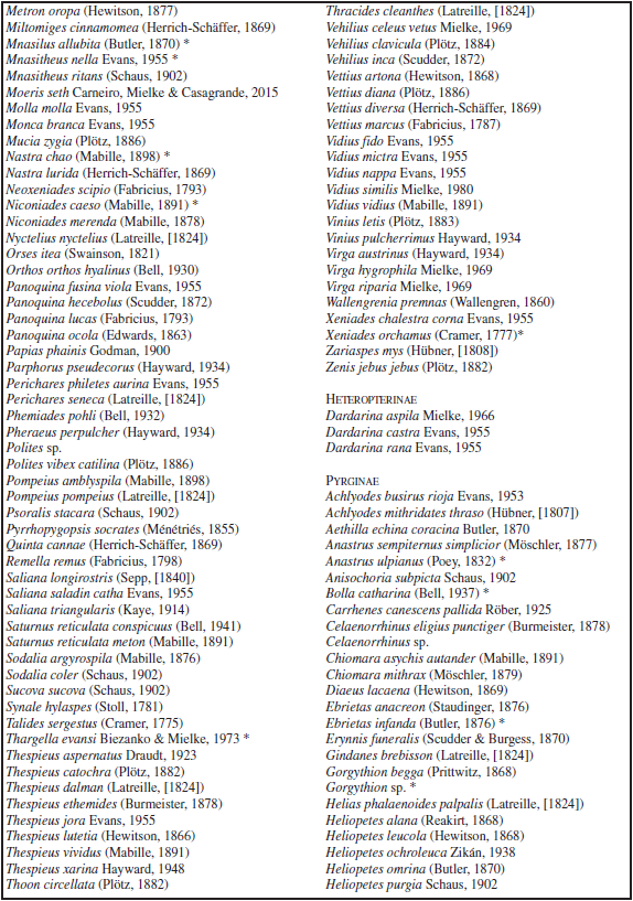 Species list of Papilionoidea in Curitiba, Paraná, Brazil. (*) new records in the period from IX-2015 and III-2016. All subspecies names are ommited when typonomial.