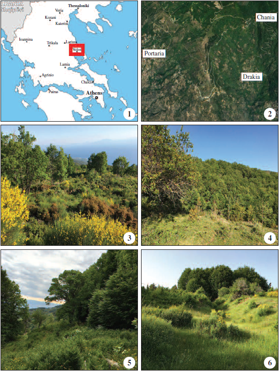 Study areas. 1. Schematic representation, 2. Aerial view, 3. Panoramic view of the vegetation at 750 m a.s.l., 4. Panoramic view of the vegetation at 1000 m a.s.l., 5. Panoramic view of the vegetation at 1150 m a.s.l., 6. Panoramic view of the vegetation at 1350 m a.s.l..