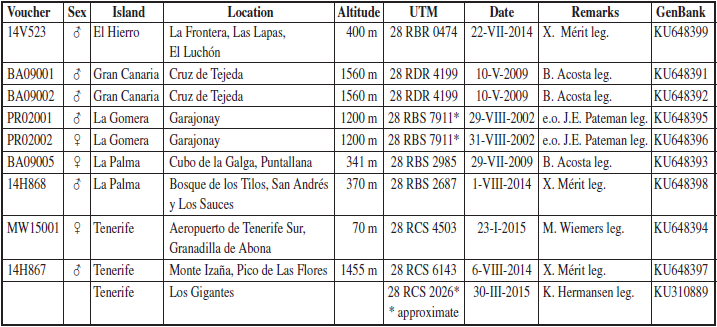 Material of Leptotes (Cyclyrius) webbianus used for DNA analysis of the mitochondrial gene COI
