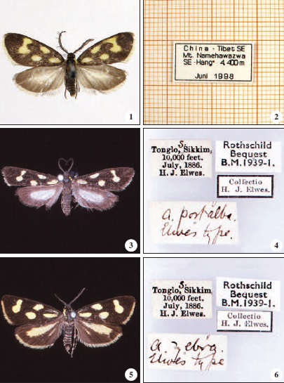 Figures 1-6