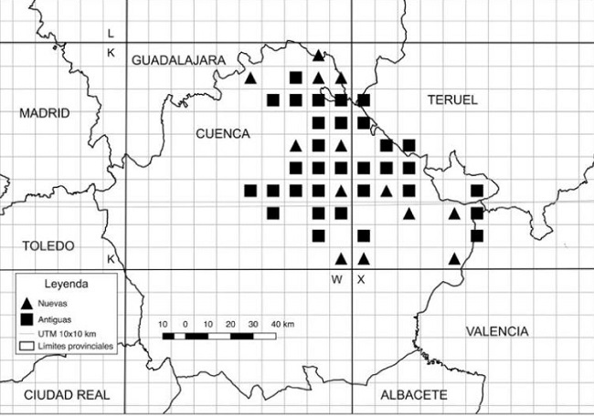 Figura 1