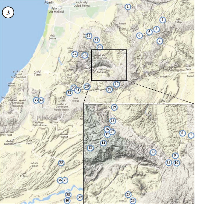 Distribution of the sampling localities. The localities are numbered as in List of localities. The area in central Anti-Atlas is enlarged for clarity.