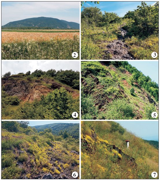 2. View from the Transcarpathian Lowland of the southern slopes of the Chorna Hora. 3-4. Foreststeppe habitats with patches of xerothermic rock sward on the slopes of the Chorna Hora. 5-6. Xerothermicrock sward habitats on the slopes of the Chorna Hora. 7. Patch of xerothermic sward on the south-eastern slopeof the Chorna Hora; the light trap can be seen