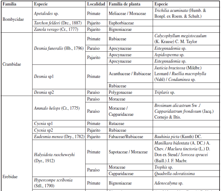 Registro de especies de plantas nutricias de larvas de Lepidoptera en tres fragmentos de bosque secotropical en el departamento de Sucre, Colombia. Se registran las especies de Lepidoptera y su planta nutricia.