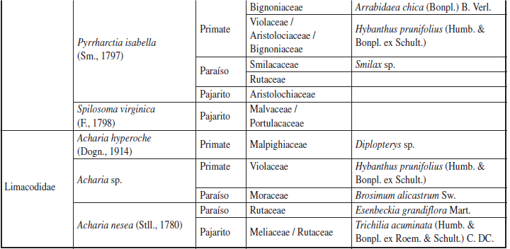 Registro de especies de plantas nutricias de larvas de Lepidoptera en tres fragmentos de bosque secotropical en el departamento de Sucre, Colombia. Se registran las especies de Lepidoptera y su planta nutricia.