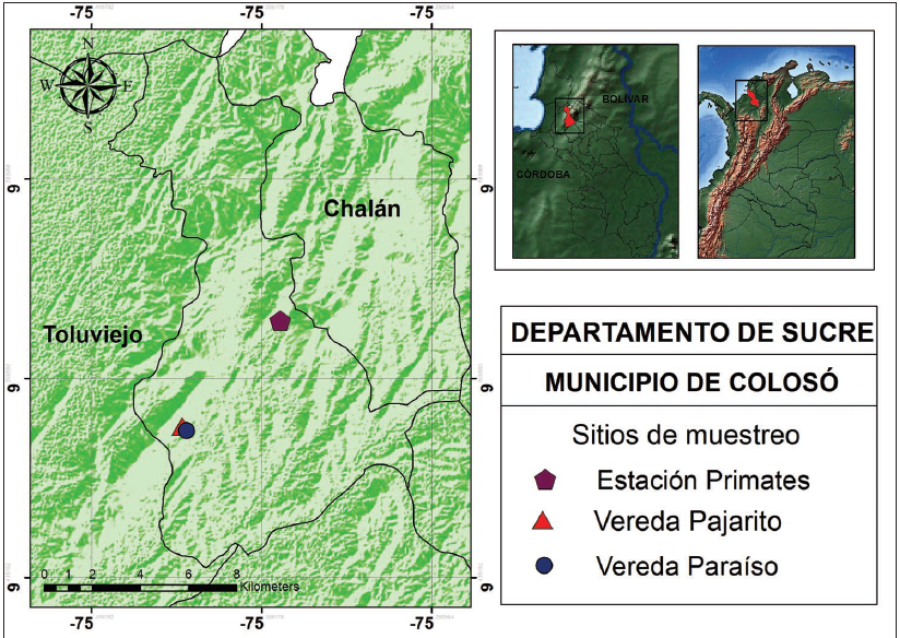 Mapa de ubicaci&oacute;n del &aacute;rea de estudio: estaci&oacute;n Primates, vereda Pajarito, vereda Para&iacute;so en el municipio de Colos&oacute;.