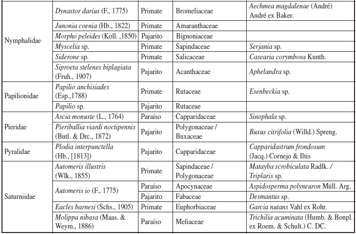 Registro de especies de plantas nutricias de larvas de Lepidoptera en tres fragmentos de bosque secotropical en el departamento de Sucre, Colombia. Se registran las especies de Lepidoptera y su planta nutricia.