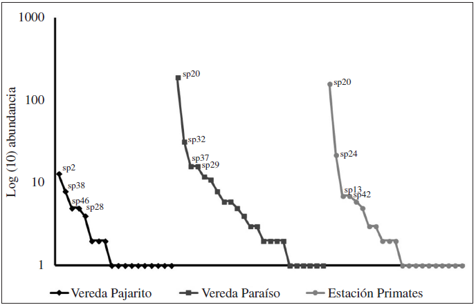 Curva de rango-abundancia de larvas en de Lepidoptera en fragmentos de bosque seco tropical del departamento de Sucre-Colombia. sp: 20. Halysidota ruscheweyhi. 2. Acharia nesea. 24. Lochmaeus sp. 37. Periphoba sp. 29. Molippa nibasa. 38. Pieribalia viardi noctipennis. 13. Desmia funeralis. 42. Siderone sp. 46. Spilosoma virginica. 28. Megalopyge opercularis.