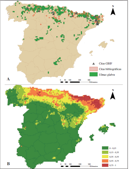 1.A) Mapa de distribuci�n conocida en cuadr�culas UTM 10 x 10 km para U. glabra y S. w-album, junto con las citas de presencia de S. w-album extra�das del GBIF. 1.B) Modelo A de distribuci�n potencial generado usando MaxEnt bajo las variables bioclim�ticas y bi�ticas actuales. El valor de la potencialidad de h�bitat m�s alta aparece en rojo (0.75-1) y el m�s bajo en verde (0-0.15).
