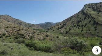 Khosrov Forest State Reserve, habitat of E. alcides, Th. hyrax, G. farinosa, S. abdominalis, T. romanovi, M. larissa, S. amasinus, M. arduinna.