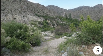 N of Meghri, near Meghri River, habitat of P. mannii, G. nostrodamus, E. alcides, T. balkanicus, L. celtis, L. reducta, N. polychloros.