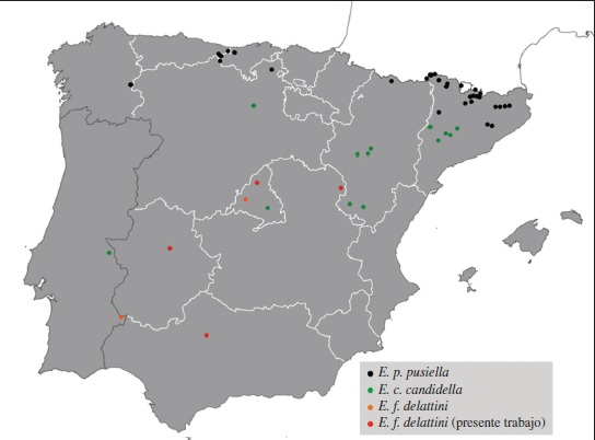 Citas de Ethmia pusiella, E. candidella y E. fumidella delattini en la Pennsula Ibrica (referencias bibliogrficas en el texto).