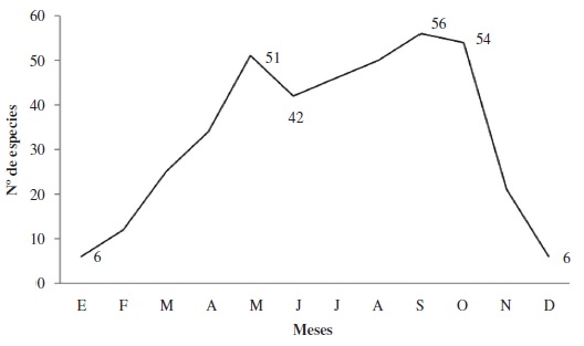 Esquema fenológico de la familia Noctuidae en el Parque Natural de Sierra María-Los Vélez durante el período comprendido entre la segunda quincena de mayo de 2010 y la primera quincena de mayo de 2012.