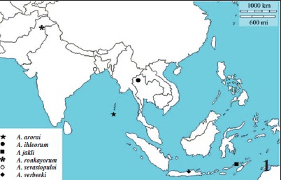 Map of distribution of Aholcocerus Yakovlev, 2006