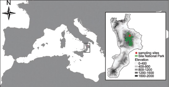 Study area within the Sila National Park.