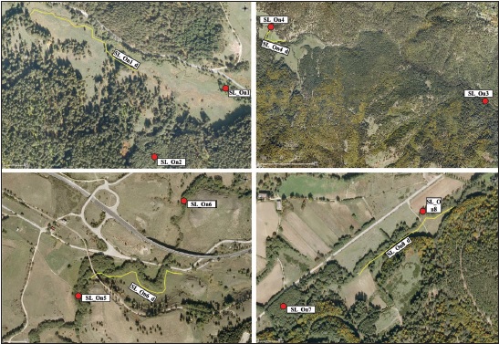 Location of sampling sites. Yellow lines indicate transects for the monitoring of diurnal Lepidoptera. Red dots indicate the position of light traps for the monitoring of nocturnal Lepidoptera.