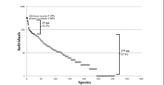 Structure of nocturnal community sampled in Calabrian alder forest forests. The most abundant species and the proportion of the rest of community are reported.