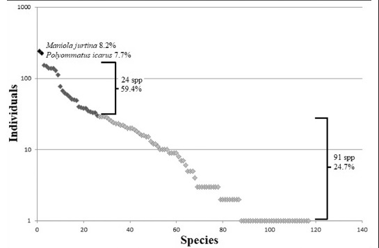 Structure of diurnal community sampled in Calabrian alder forest forests. The most abundant species and the proportion of the rest of community are reported.