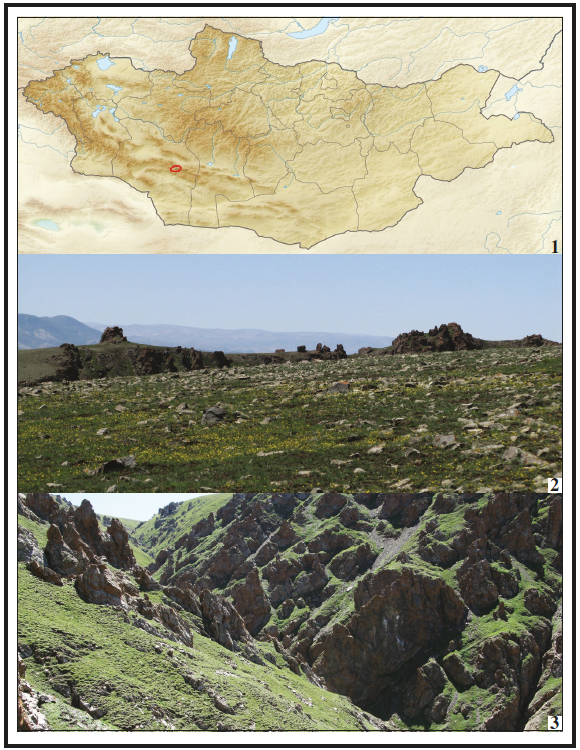 1. Map of Mongolia with marked (red line) Khara-Adzragyn-Nuruu Protected Area. 2. SW
Mongolia, Gobi-Altai aimak,
Mongolian Altai Mts., Khara-Adzragyn-Nuru Mts., Najtvaryn-Sajr river Valley (upper stream) (photo by A. Kechaikin). 3. SW
Mongolia, Gobi-Altai aimak,
Mongolian Altai Mts., Hara- Adzragyn-Nuru Mts., Najtvaryn-Sajr river Valley (under stream) (photo by A. Kechaikin).
