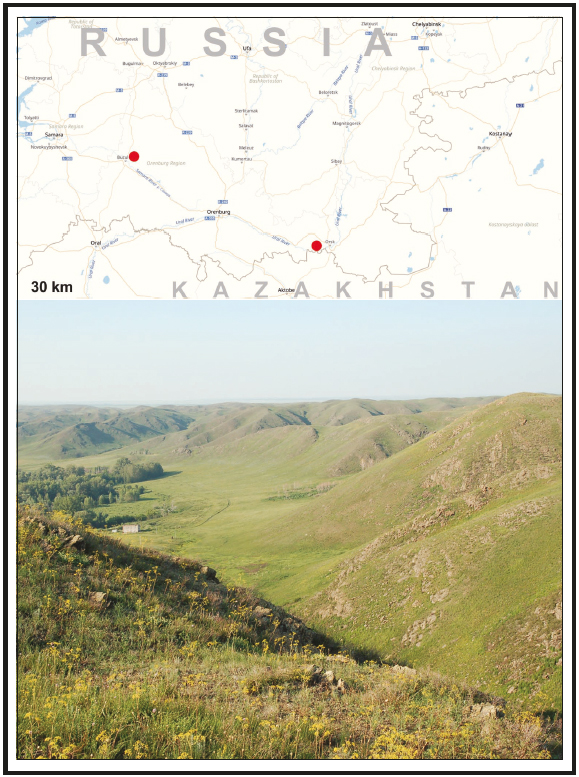 1. Map of the collecting localities. 2. Russia,
Orenburg Province, Guberlya river Valley (photo
by P.
Gorbunov).