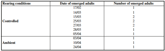 Date and number of emerged C.
perplexella adults under controlled and ambient conditions