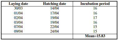 Incubation period of C. perplexella eggs.