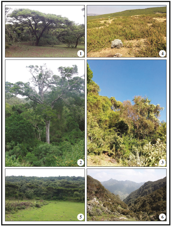 Habitats visited during expeditions in Amhara Region.